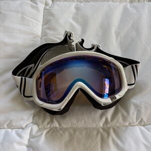 Smith Optics Phenom Goggles